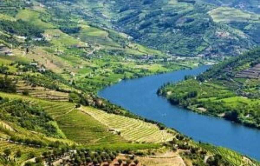 Visite Complète des vins