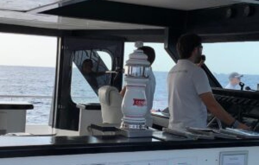 Observation des dauphins